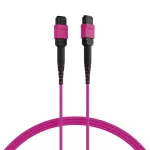 EFB Elektronik MPO-PLUS OM4 8 gijų Type B LSZH pataisymo kabelis, Erika-violet, 3 m MPOF8MPOFOM4-3