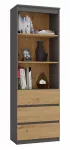 Biuro spintelė knygoms top e shop RS-60 ANT/ART KPL &ndash; 3 lentynos, medžio drožlių plok&scaron;tė, 600&times;350&times;1800 mm