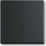 BUSCH JAEGER 1751-0-3038 - Tasten - Schwarz - Kunststoff - 63 mm - 63 mm - 1 St&uuml;ck(e)