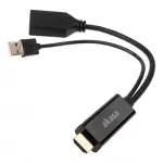 HDMI į DisplayPort adapterio kabelis Akasa AK-CBHD24-25BK