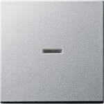 GIRA Abdeckung Kontrollschalter System 55, Standard 55, E2, Event, Event Klar, Event Opak, Esprit, ClassiX Aluminium 02 (029026)