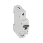 Legrand RX3 automatinis jungiklis Miniatiūrinis jungiklis B tipo 1
