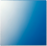 Jung Scheibe 62.5x61x1mm 61 GL (61GL)