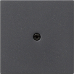 GIRA 027428 Wandplatte/Schalterabdeckung Anthrazit (027428)