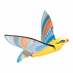 CALY Pauk&scaron;telis TIMAS