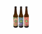 Kombucha fermentuotos arbatos gėrimų rinkinys, ETNO, 500 ml x 3 vnt.
