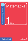 Matematika. Pasitikrinamieji darbai 1 klasei. Serija Maži milžinai