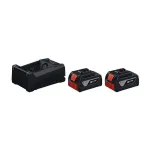 Bosch GBA 18V / GAL 12V-18 18 V 5,0 Ah (2 akumuliatoriai) &ndash; akumuliatorių ir įkroviklio komplektas