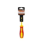 Richmann elektriko atsuktuvas PH2x100 1000V