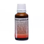 Skystas gudobelių ekstraktas maisto papildas, 30 ml