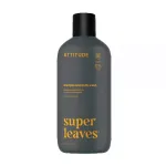 ATTITUDE &scaron;ampūnas ir kūno prausiklis SUPER LEAVES GINSENG & GRAPESEED OIL, 473 ml