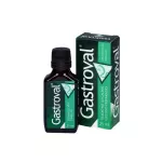 GASTROVAL geriamieji la&scaron;ai (tirpalas) 25 ml