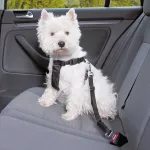 Trixie reguliuojamos petne&scaron;os &scaron;unims, skirtos keliaujant automobiliu, juodos - XS-S