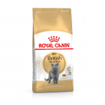 Royal Canin British Shorthair Adult sausas maistas katėms - 2kg