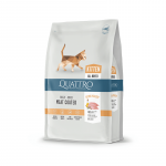 Quattro Kitten sausas maistas kačiukams 1.5 kg