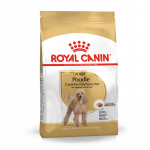 Royal Canin Poodle Adult sausas maistas &scaron;unims 1.5 kg