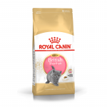 Royal Canin British Shorthair Kitten sausas maistas kačiukams - 400g