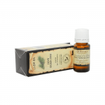 AROMATIKA eterinių aliejų mi&scaron;inys Spygliuočių pirtis 10 ml
