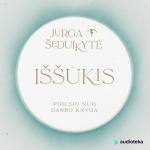 I&Scaron;&Scaron;ŪKIS. Poilsio nuo darbo knyga (audioknyga)