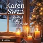 KALĖDOS ŽVAKIŲ &Scaron;VIESOJE (audioknyga)