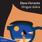 DINGUSI DUKRA (audioknyga)