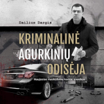 Kriminalinė Agurkinių odisėja (audioknyga)