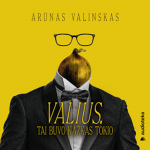 VALIUS. Tai buvo kažkas tokio (audioknyga)