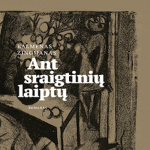 ANT SRAIGTINIŲ LAIPTŲ (audioknyga)