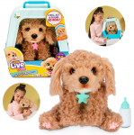 Interaktyvus &scaron;uniukas narvelyje su 60+ garsų ir funkcijų &bdquo;Curley Cavoodle&rdquo;, Little Live Pets