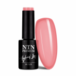 Gelinis nagų lakas "NTN" Nr.291