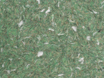 Skysti tapetai POLDECOR 2/5, žalia, i&scaron;eiga 3.3 m&sup2;