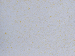 Skystieji tapetai POLDECOR 23/2, geltona, i&scaron;eiga 3.3 m&sup2;