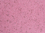 Skystieji tapetai POLDECOR 18/5, bordo, i&scaron;eiga 3.3 m&sup2;