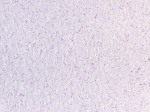 Skystieji tapetai POLDECOR 14/9, violetinė, i&scaron;eiga 3.3 m&sup2;