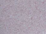 Skysti tapetai POLDECOR 28/5, rožinė, i&scaron;eiga 3.3 m&sup2;