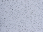 Skystieji tapetai POLDECOR 21/1, pilka-juoda, i&scaron;eiga 3.3 m&sup2;