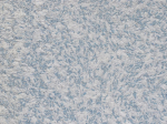 Skystieji tapetai POLDECOR 8/8, mėlyna, i&scaron;eiga 3.3 m&sup2;