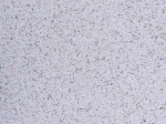 Skystieji tapetai POLDECOR 21/2, pilka-ruda, i&scaron;eiga 3.3 m&sup2;
