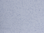 Skystieji tapetai POLDECOR 22/1, mėlyna, i&scaron;eiga 3.3 m&sup2;