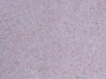 Skystieji tapetai POLDECOR 31/1, rožinė, i&scaron;eiga 3.3 m&sup2;