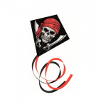 GUNTHER aitvaras Piratas, 1149