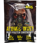 Nuclear Nutrition Atomic Whey, Vanilla Ice Cream, 30 g