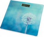 ETA Personal Scales | ETA178090040 Breeze | Maximum weight (capacity) 180 kg | Accuracy 100 g | Blue