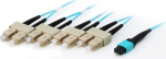 Equip MTP/SC Trunk Fiber Patch Cord, OM4, 10m