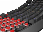 Genesis Thor 230 TKL Gaming Keyboard