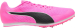 No Name Buty Puma Evo Speed Star 9 kolce 311379 06 43