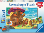 Ravensburger - Bear Family Vacations 2x24p (12004046)