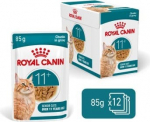 Royal Canin Ageing 11+ Chunks in gravy - wet cat food - 12x85g