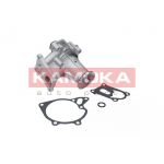 Vandens siurblys KAMOKA T0161