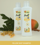 TESTER 10 ml+10 ml.. SALERM BIOKERA Yellow Shampoo + Mask